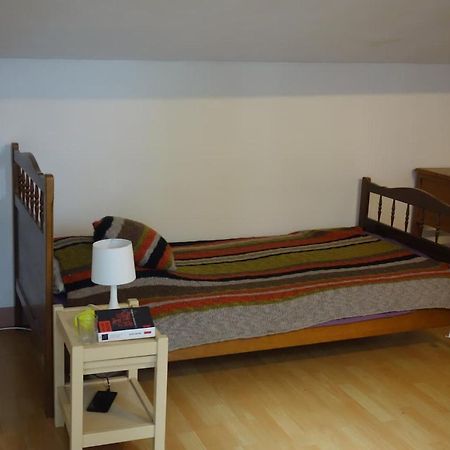 Bel Appartement Au Coeur Du Puy En Velay Le Puy-en-Velay Bagian luar foto