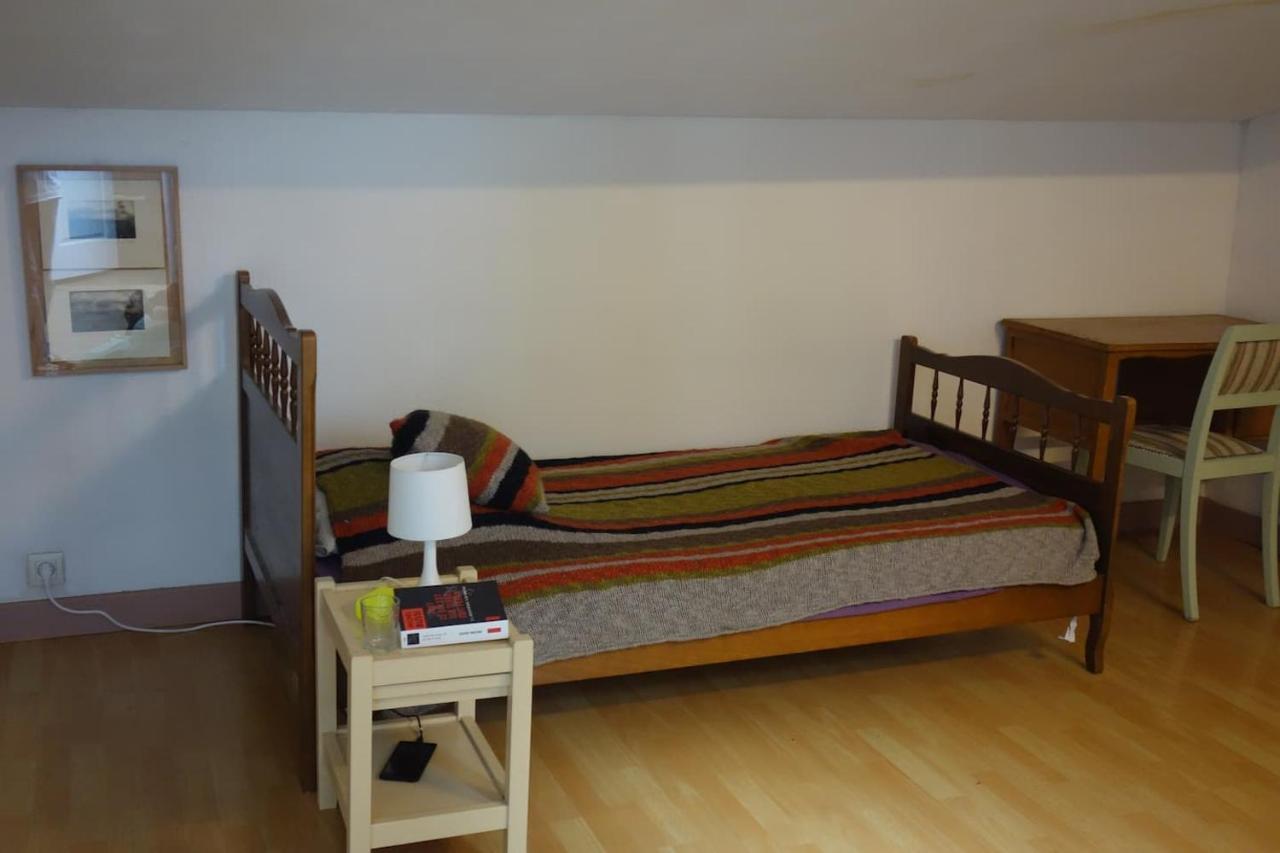 Bel Appartement Au Coeur Du Puy En Velay Le Puy-en-Velay Bagian luar foto