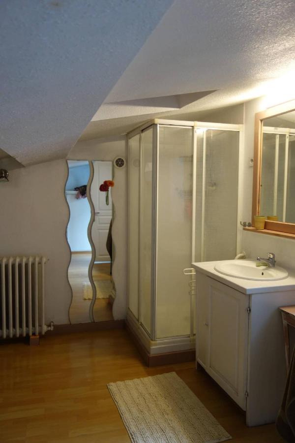 Bel Appartement Au Coeur Du Puy En Velay Le Puy-en-Velay Bagian luar foto